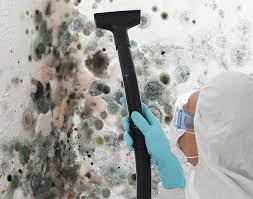 Best Emergency Mold Remediation  in Weston, MO